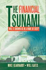 The Financial Tsunami