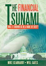 The Financial Tsunami