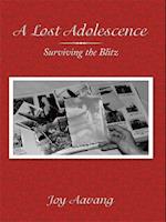 Lost Adolescence