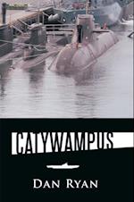 Catywampus