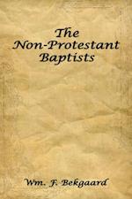 Non-Protestant Baptists