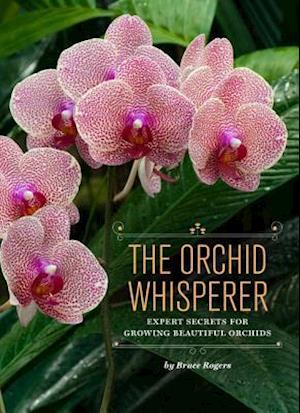 The Orchid Whisperer