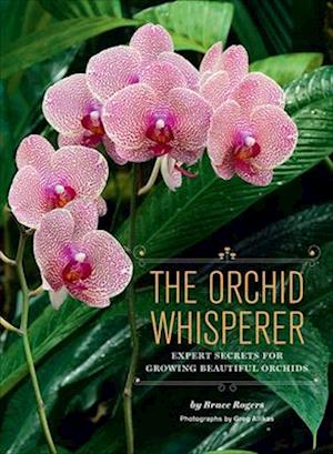 Orchid Whisperer