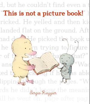 This Is Not a Picture Book!