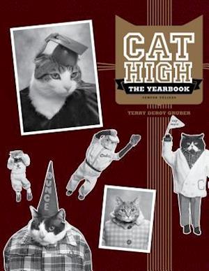 Cat High