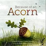 Because of an Acorn