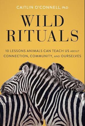 Wild Rituals