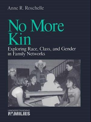 No More Kin : Exploring Race, Class, and Gender in Family Networks