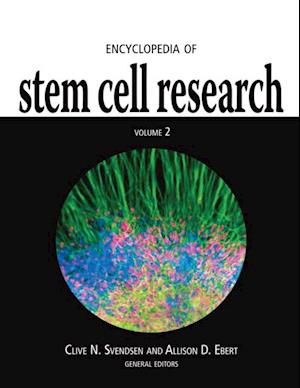 Encyclopedia of Stem Cell Research