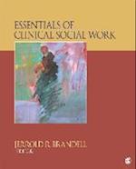 Essentials of Clinical Social Work