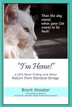 I'm Home! a Cat's Never Ending Love Story, Cat reincarnation stories- Animal Life after Death, Pet Heaven, Pet loss & Reincarnation