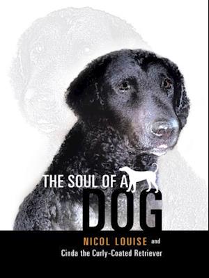Soul of a Dog