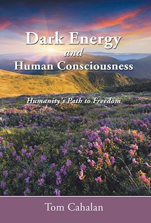 Dark Energy and Human Consciousness