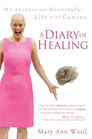 Diary of Healing