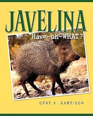 Javelina