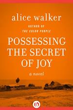 Possessing the Secret of Joy