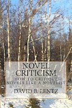 Novel Criticism