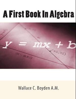 A First Book in Algebra