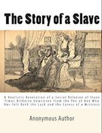 The Story of a Slave