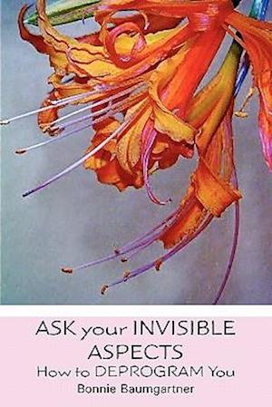 Ask Your Invisible Aspects