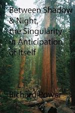 Between Shadow and Night, the Singularity in Anticipation of Itself