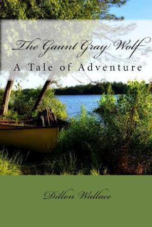 The Gaunt Gray Wolf