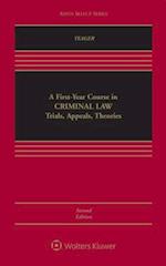 A First-Year Course in Criminal Law