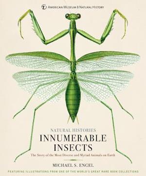 Innumerable Insects