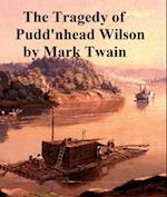 Tragedy of Pudd'nhead Wilson