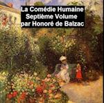 La Comedie Humaine volume 7 - Scenes de la vie de province tome ***