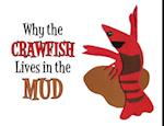 Why the Crawfish Lives in the Mud