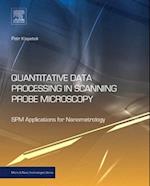 Quantitative Data Processing in Scanning Probe Microscopy