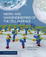 Micro- and Nanoengineering of the Cell Surface