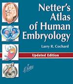 Netter's Atlas of Human Embryology E-Book