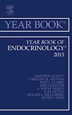 Year Book of Endocrinology 2013