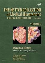 The Netter Collection of Medical Illustrations: Digestive System: Part II - Lower Digestive Tract