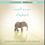 Small as an Elephant