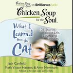 Chicken Soup for the Soul: What I Learned from the Cat