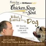 Chicken Soup for the Soul: What I Learned from the Dog