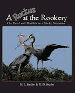 A Ruckus at the Rookery