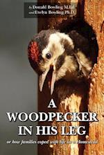 A Woodpecker in His Leg