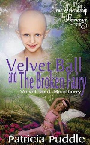 Velvet Ball and the Broken Fairy