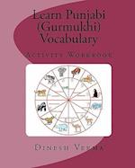 Learn Punjabi (Gurmukhi) Vocabulary Activity Workbook