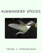 Hummingbird Species