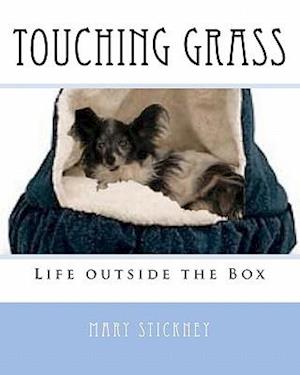 Touching Grass