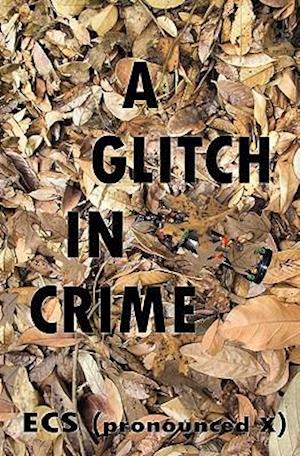 A Glitch in Crime