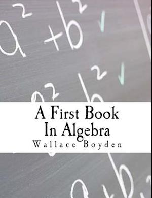 A First Book in Algebra