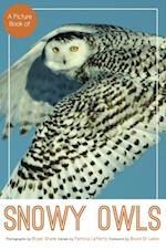 Picture Book of Snowy Owls