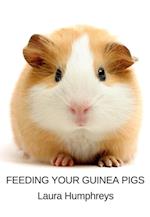 Feeding Your Guinea Pigs