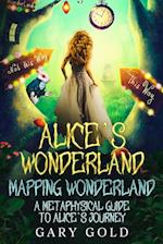 Alice's Wonderland Mapping Wonderland